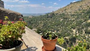 DOMUS EVA, dove è nata Tivoli