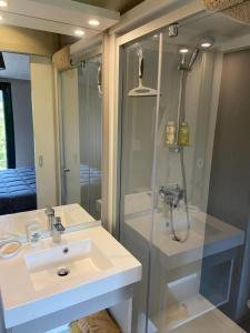 SUPERBE CHALET sous les pins