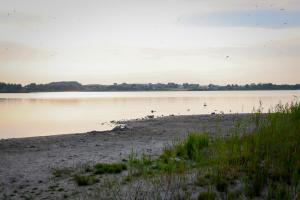 Domki letniskowe DAR-DOM