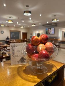 Hotel Sol del Añelo