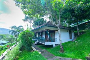 Forest Canopy Thekkady