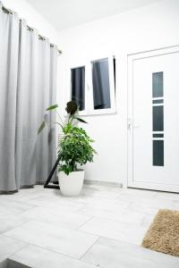 The Sun and the Moon