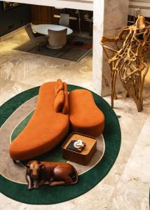 ArtHotel Transamerica Collection