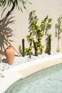 Cozy Villa Alami 2BR Sanur beachside