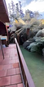 Cabana Alemã Rustica com pátio