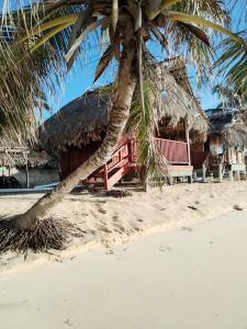 Islas de San blas cabaña privada en Tubasenika
