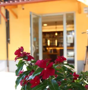 Hotel Ristorante La Collina