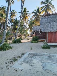 Islas de San blas cabaña privada en Tubasenika