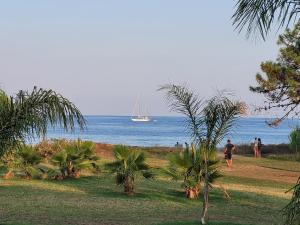T2 terrasse piscine et plage Moriani Corse