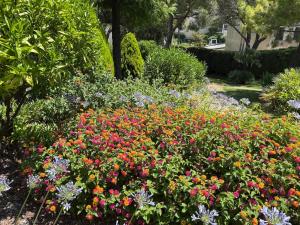 Appartements 3 pieces Antibes, clim, vue mer, piscine et parc : photos des chambres