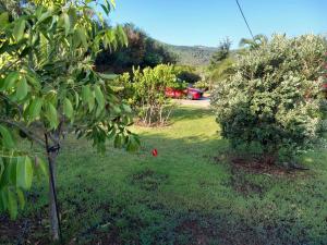 Sardinia Dream Home img9