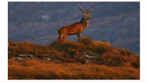 Shangri-La Large Family Townhouse free carpark