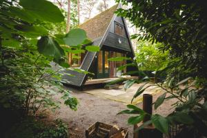 Boshuisje Rekem - Memories