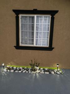 Cheerful two bedroom home close to mall and Hellshire beach