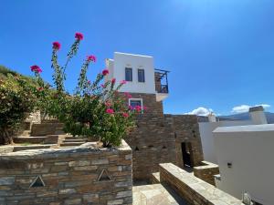 andros prive suites villa vibrant