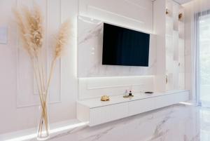 Sea Shell Stadium Brzeźno Beach