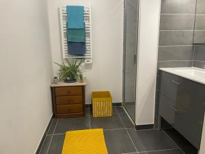 Appartements T2 avec terrasse, proche plages et centre de Montpellier : photos des chambres
