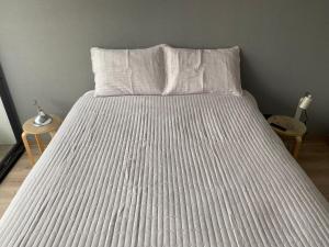 Amplio y Luminoso Depto 1D y 2B Marin Santiago Centro