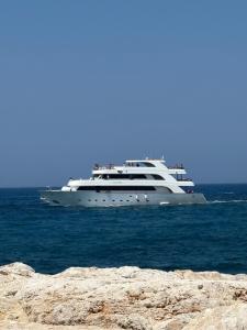 2 Bed House - Sleeps 4 - Pool - Garden - Parking