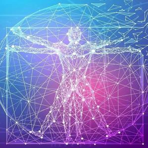 Cabines Catamaran Breakfast-Brunch Included, Optional Lunch & Dinner