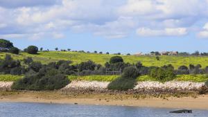 Cabines Catamaran Breakfast-Brunch Included, Optional Lunch & Dinner