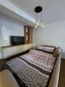 The Central Stay Apartment