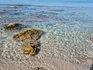 Grazioso Bilocale zona Gallipoli