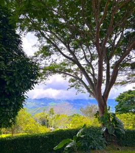 Casa Campo San Miguel