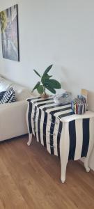 Spacious 3- rooms appartment with two terraces