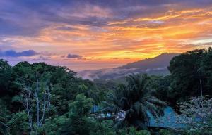 3 Suites-Views-Great pool-Near Dominical-Luxury