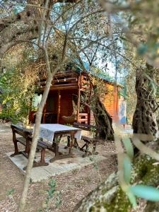 Green Heaven Cottage