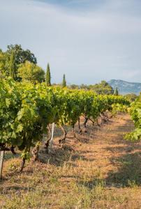 B&B / Chambres d'hotes La Bergerie : photos des chambres