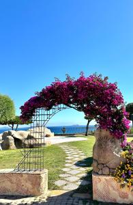 Studio In The Gulf of Marinella
