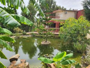 Ain Damous Farmhouse - 3-star hotels in Bizerte