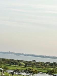 Prime nest properties