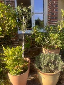 B&B / Chambres d'hotes Halte dans le Perche : photos des chambres