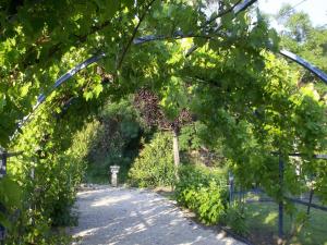 B&B / Chambres d'hotes Villa Angel - SPA : photos des chambres