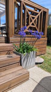 Appartements Cozy mobile home with great comfort - Camping La Sirene : photos des chambres