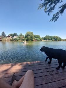 Árnyas Part Vendégház