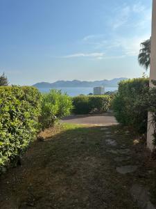 Renoir 252 - Appartement rez-de-jardin type F2 - Petite vue mer