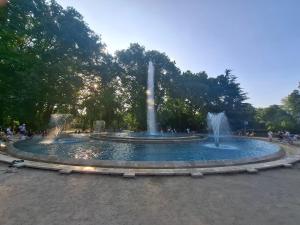 BEM by Small Home Budapest