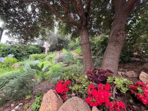 Villa Sardinia Seaview&SPApool img72