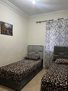 Luxury apartment in the city center