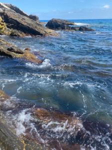 Casa Fiumara,Aeroporto,Aquario Genova