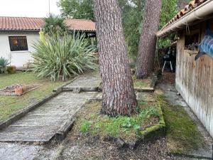 Maisons de vacances Ideal house for family vacations, peaceful setting : photos des chambres