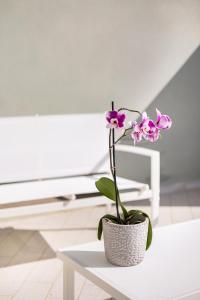 Le VELE Alghero img15