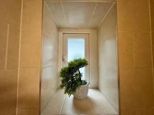 Modern spacious studio with a courtyard located in central London