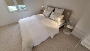 Appartements Superbe Duplex climatise proche IGR : photos des chambres