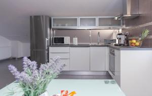 Apartment Maslenica 