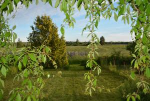 Viihtyisä pikkukoti Forssassa - Tiny cosy home in Forssa